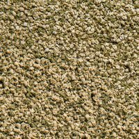 sera Vipagran Granules 250 ml (100 g)