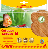 sera Catappa Leaves M 16 – 20 cm 10 St.