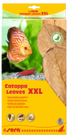 sera Catappa Leaves XXL 30 – 35 cm 10 St.