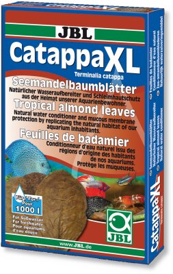JBL Catappa XL 10 Blätter